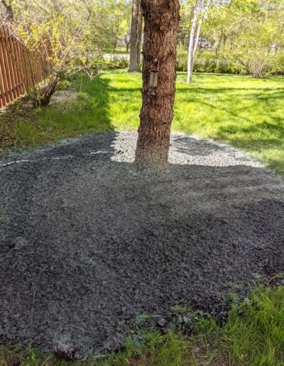 Grass - before